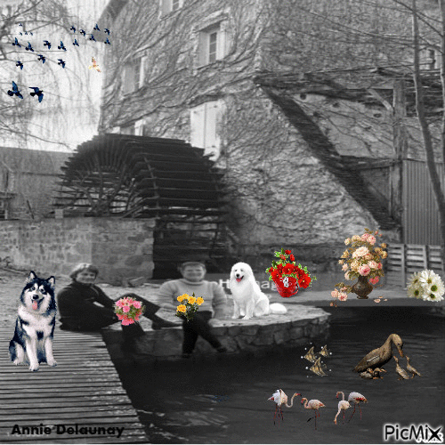 claude et moi au moulin noir et blanc - Animovaný GIF zadarmo