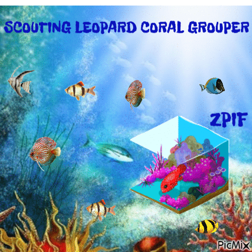Scouting Leopard Coral Grouper - Бесплатный анимированный гифка