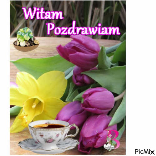 witam - Free PNG