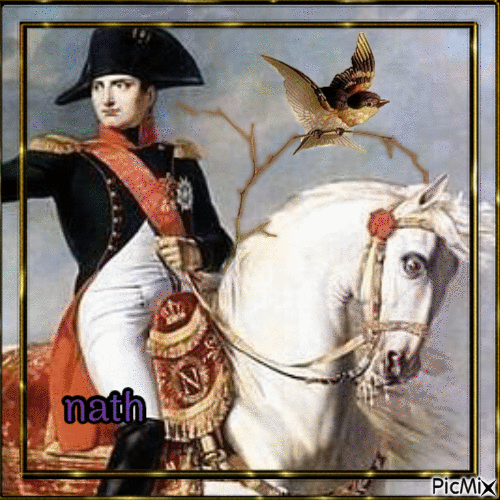 Napoléon  ,concours - Bezmaksas animēts GIF