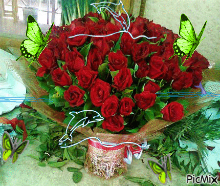 Roses,Butterfly and Dolphn - GIF animado gratis
