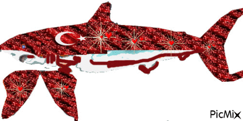 shark - Бесплатни анимирани ГИФ