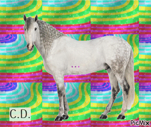 le cheval - Free animated GIF