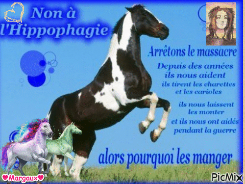 Protégeons les chevaux - Бесплатный анимированный гифка