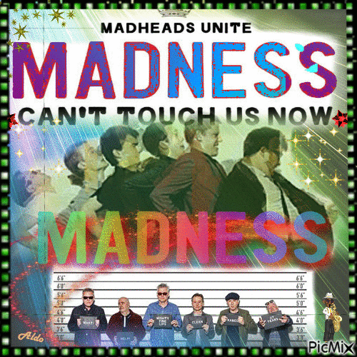 madness can't - 免费动画 GIF
