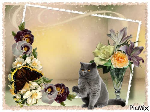 cadre fleurs chat - png gratis