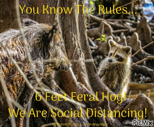 Social Distancing - PNG gratuit
