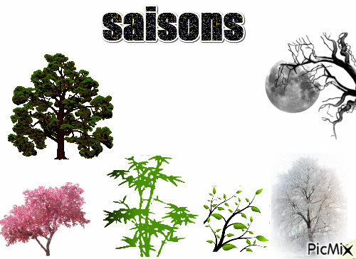 les saisons - Δωρεάν κινούμενο GIF