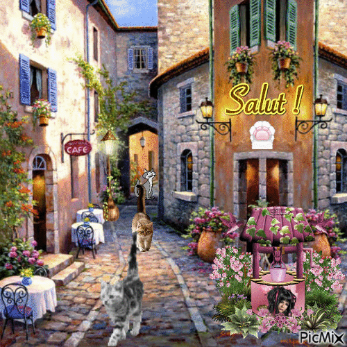 Salut les chats - Бесплатный анимированный гифка
