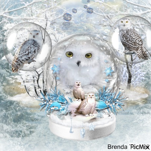 winter owl - ücretsiz png