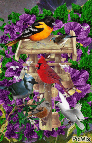 purple flowers shimmering. a bird house moving birds, and flying small birds. - Gratis geanimeerde GIF