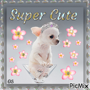 Super Cute - Безплатен анимиран GIF