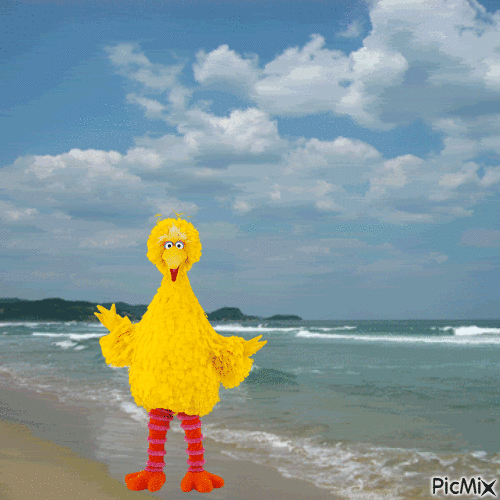 Big Bird at the beach - Animovaný GIF zadarmo