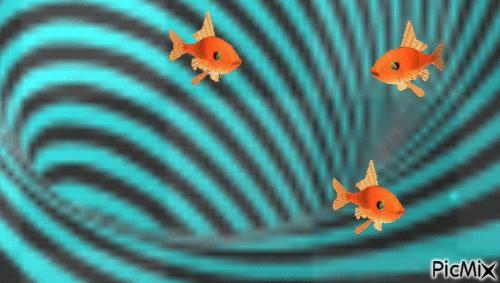 fish - GIF animado grátis