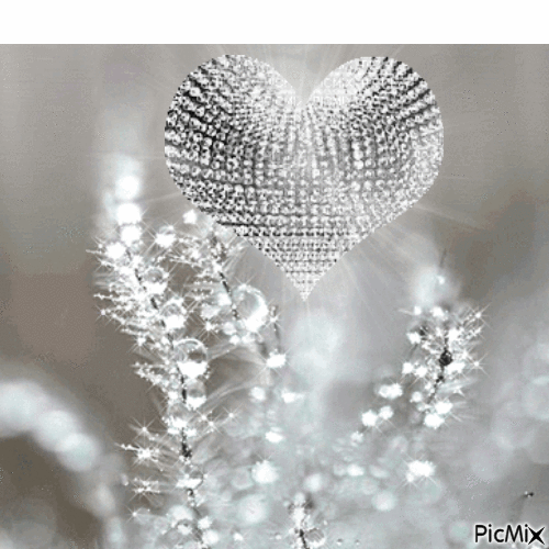 SA / BG/anim.glitter.flowers.silver.idca - Zdarma animovaný GIF