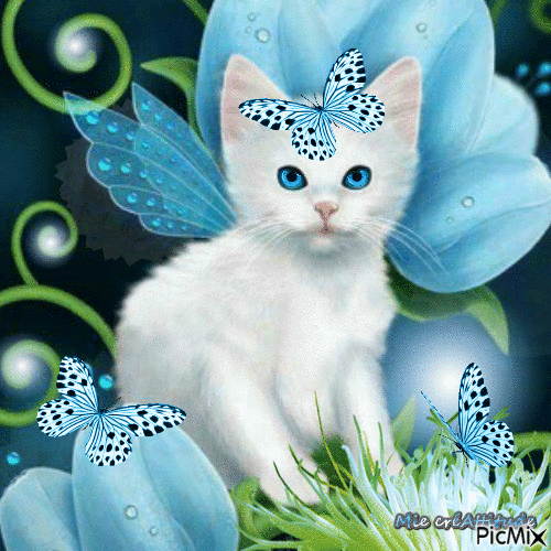 Chaton blanc & papillons bleus - Darmowy animowany GIF