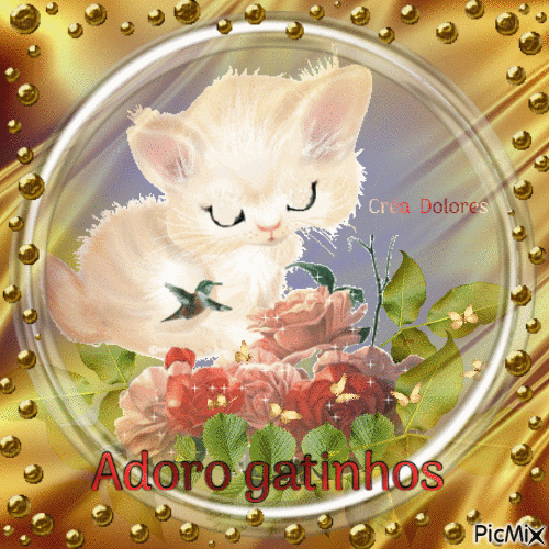 Amo gatinhos - 免费动画 GIF
