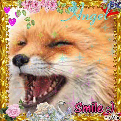 Smile fox - Бесплатный анимированный гифка