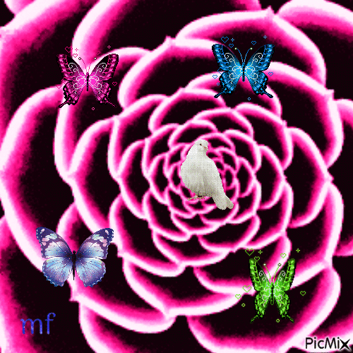 rose papillon - GIF animate gratis