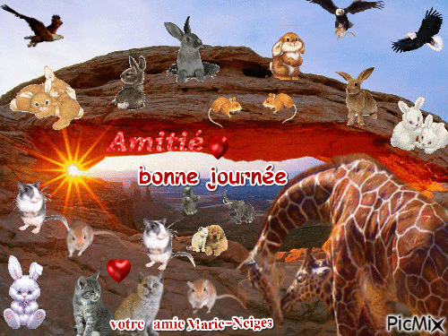 la vallée des animaux - Bezmaksas animēts GIF