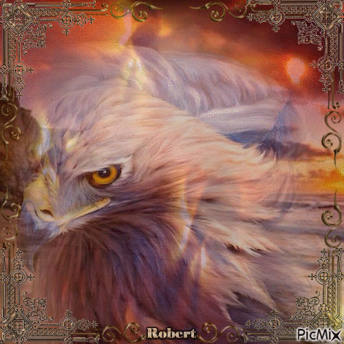 eagle dangerous ... - Free animated GIF
