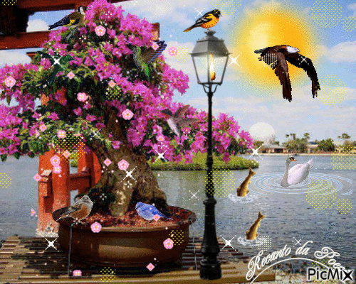 lago com flores - Ingyenes animált GIF