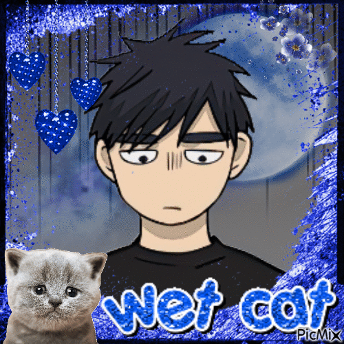 haejoon wet cat - Бесплатни анимирани ГИФ