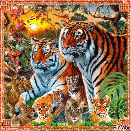 Tiger family - GIF เคลื่อนไหวฟรี