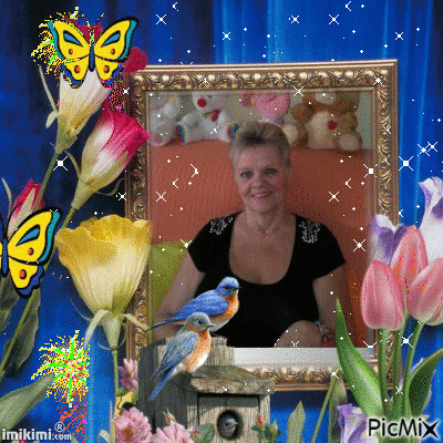 montage de murielle - Free animated GIF - PicMix