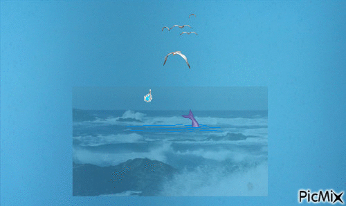 le dauphin et les mouettes - GIF animado grátis