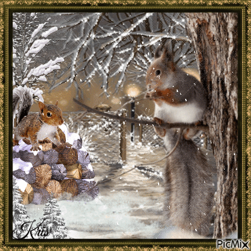 Écureuil en hiver - GIF animado grátis