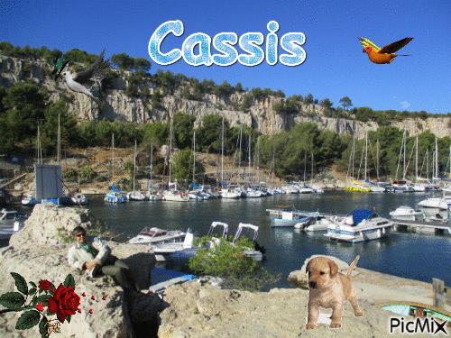 cassis - GIF animasi gratis