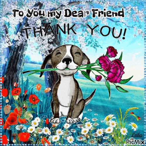 To You my Dear Friend, Thank You.