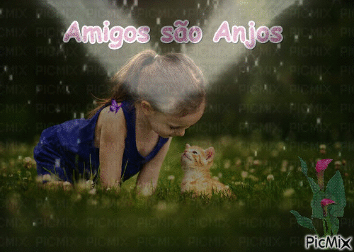 Amigos são Anjos - Бесплатный анимированный гифка