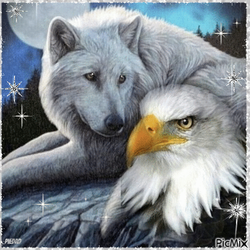 WOLF AND EAGLE - Kostenlose animierte GIFs