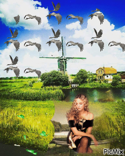 Vrouw Ganzen molen en vlinders - GIF animé gratuit