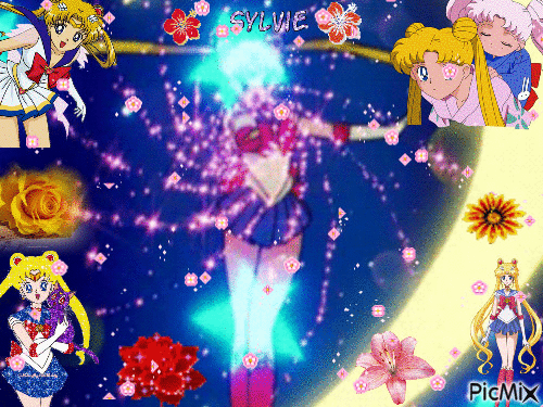 Sailor Monn ma création sylvie - Darmowy animowany GIF
