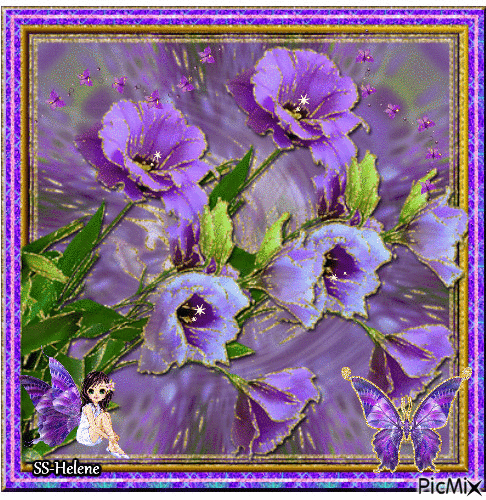 Flowers in purple. - Animovaný GIF zadarmo
