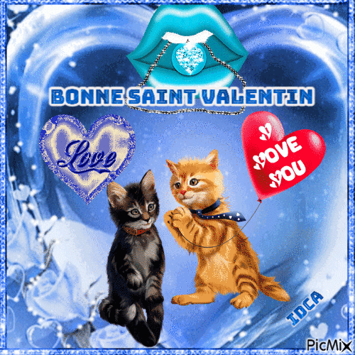 Bonne Saint Valentin   les chatons - Бесплатный анимированный гифка