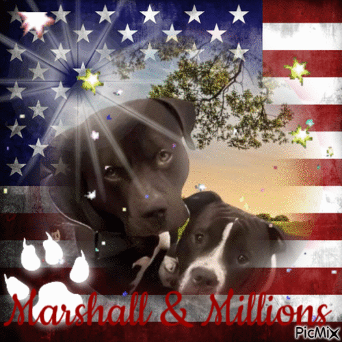Justice for all animals - GIF animado gratis