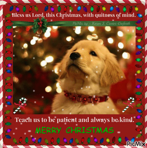 Teach Us to be Patient and Kind - GIF animado gratis