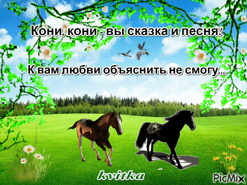 кони - Ingyenes animált GIF