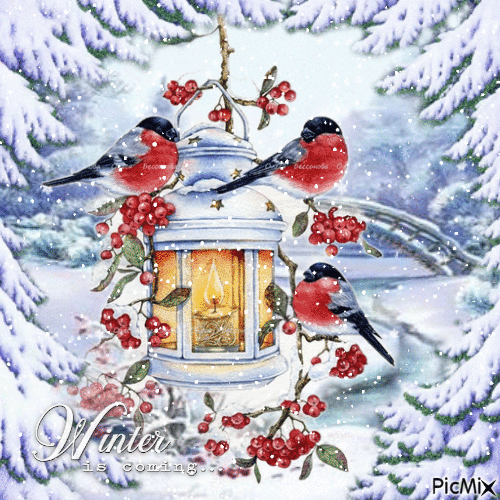 winter birds - Бесплатный анимированный гифка