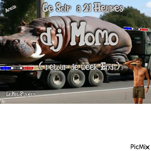 dj momo - GIF animé gratuit