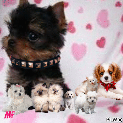 la famille des petits chiens - 免费动画 GIF