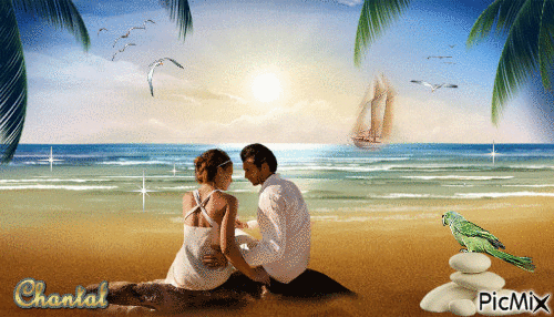 amoureux sur la plage - Zdarma animovaný GIF