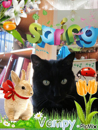 spring kitty - GIF animé gratuit