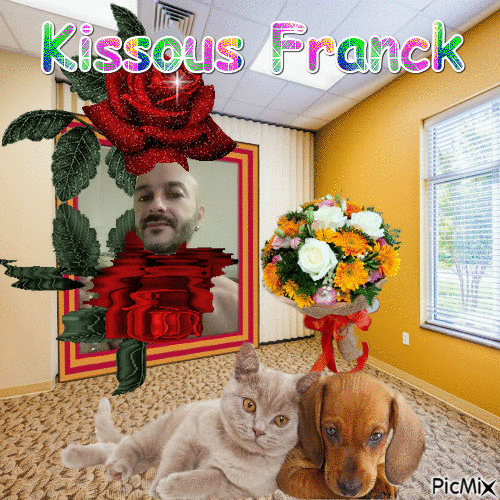 franck - 免费动画 GIF