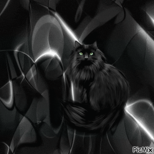 Черный кот - GIF animado grátis