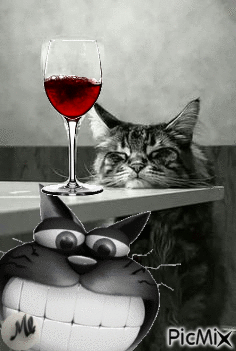 Gatos borrachos - GIF animado grátis